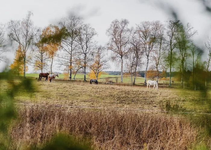 Hoedur بيت للعطل