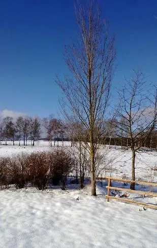 Hoedur هاسلفيلد